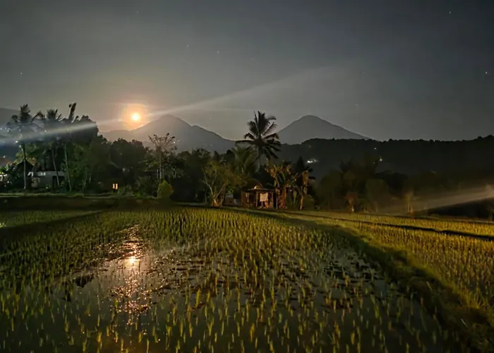 Bukit Luwih House 4* Munduk